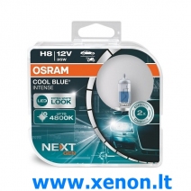 OSRAM H8 4800K +100% Cool Blue Intense NEXT Gen lemputės-1
