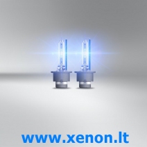 D2S OSRAM 6200K +150% Cool Blue Intense XENON lemputė 66240CBN-2