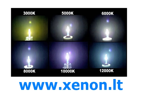 H7 Vertex Premium XENON lemputė-2