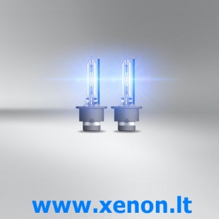 D2S OSRAM 6200K +150% Cool Blue Intense XENON lemputė 66240CBN