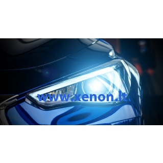 D2R XENON lemputė VERTEX