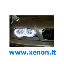 BMW E46 COTTON Angel eyes-2