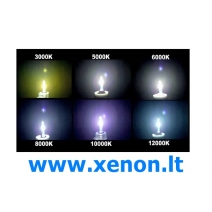 H7 Vertex Premium XENON lemputė-2