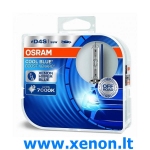 D4S OSRAM Cool Blue Boost 7000K 2vnt XENON lemputės-1