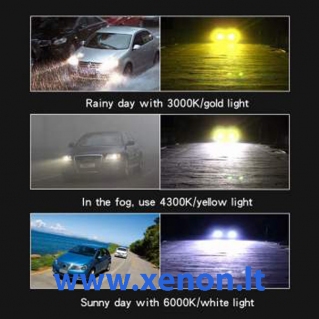 Auto LED 60W Philips LED 3 spalvų komplektas